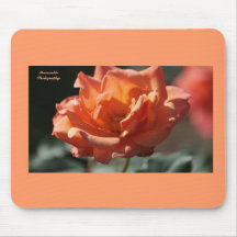 Beautiful orange cream rose mousepad