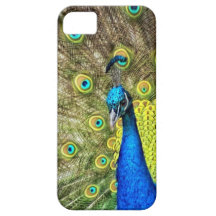 Beautiful Peacock Photo iPhone 5 Covers