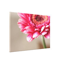 Beautiful pink gerbera on beige canvas prints