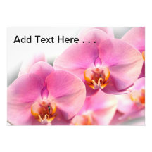 Beautiful Pink Orchids on a Soft Background Invitation