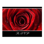 Beautiful Red Rose Wedding RSVP postcard -Black