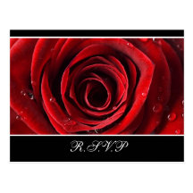 Beautiful Red Rose Wedding RSVP postcard -Black