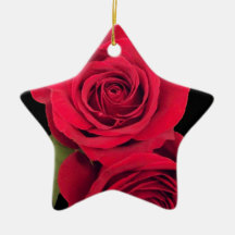 Beautiful red rose with reflection. ornaments