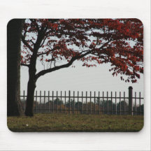 Beautiful Red Tree Autumn Photo Mousemat