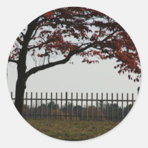 Beautiful Red Tree Autumn Photo Sticker