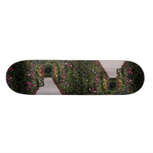 Beautiful Rose Arches Skate Board Deck