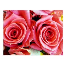 Beautiful Roses Postcard