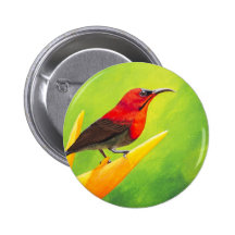 Beautiful Sunbird Painting!  NZ Artist Elena Esina Buttons