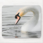Beautiful Swan Mousepad
