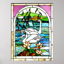 Beautiful Swans in a Pond Large Canvas Print