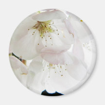 Beautiful White Refrigerator Magnets
