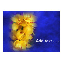 Beautiful Yellow Orchids on Deep Blue Background Custom Invitation