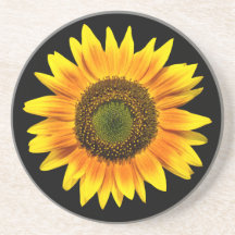 Beautiful yellow sunflower sandstone coaster