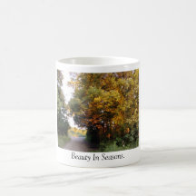 Beauty In Seasons. Mugs