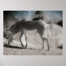 Beauty in Stripes Print