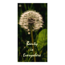Beauty is Everywhere Photo Cards