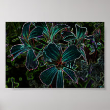 beauty poster