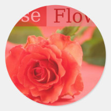 beauty  rose round sticker