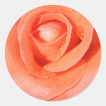 beauty  rose stickers