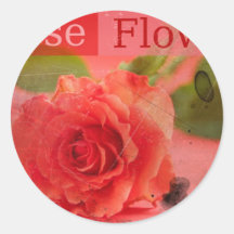 beauty  rose stickers