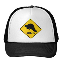 Beaver Crossing Highway Sign Hat