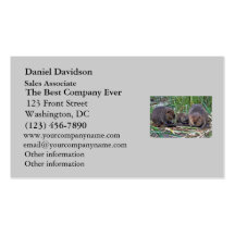 Beaver Family Business Card Templates