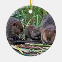 Beaver Family Christmas Ornaments