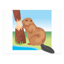 Beaver Post Cards