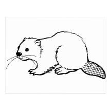 Beaver Postcard