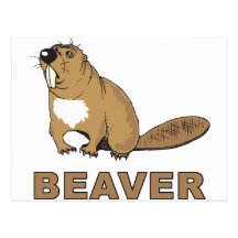 Beaver Postcards