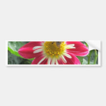 Bee-and-Flower Bumper Stickers