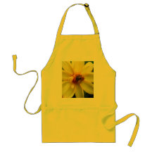 bee fest aprons