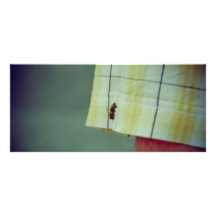 Bee Full Color Rack Card