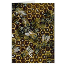 Bee Greeting Cards