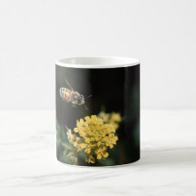 bee mugs
