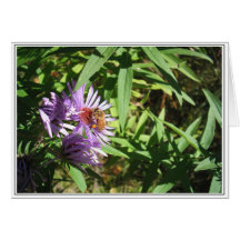 Bee on a Flower Greeting Card