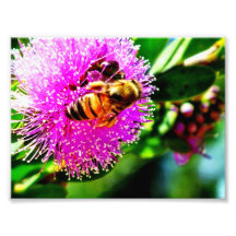 Bee on Flower Photo Art