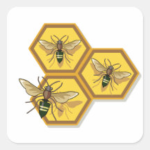 Bee on Homeycomb Square Stickers