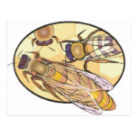Bee Postcards