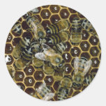 Bee Round Sticker