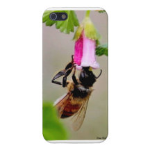 Bee With Pink Flower Cover For iPhone 5