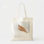 Beech Leaf In A Snow Drift Bag