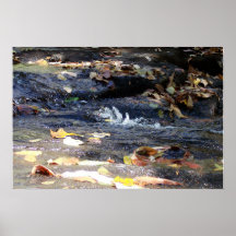 Beersheba Springs Poster