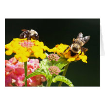 Bees on lantana greeting card