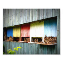 Bees Photo Art