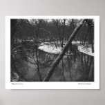 Before the Ice Comes Posters