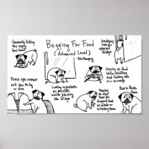 Begging For Food Print