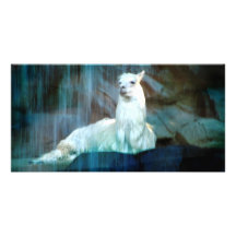 Behind the Falls Photo Greeting Card