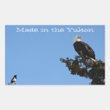 BEIAM Bald Eagle Ignores a Magpie Rectangle Stickers