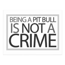 Being a Pit Bull is Not a Crime Postcard